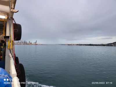 hari-071032.jpg