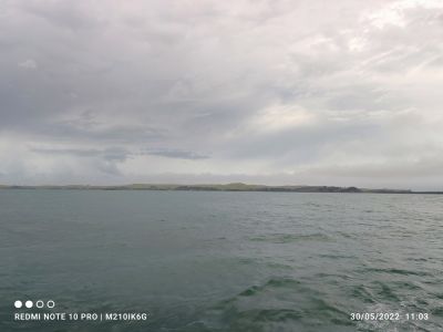 hari-110349.jpg
