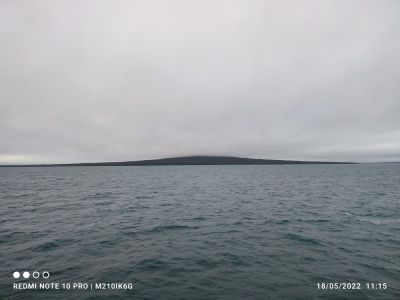 hari-111500.jpg