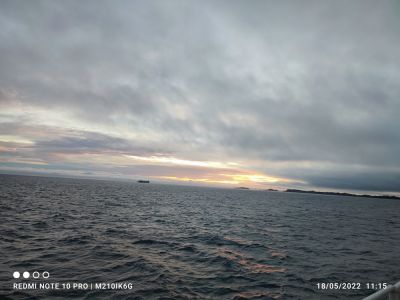 hari-111528.jpg
